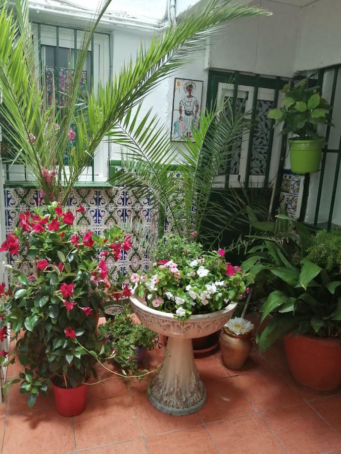 H Juan Hotel Marbella Eksteriør billede